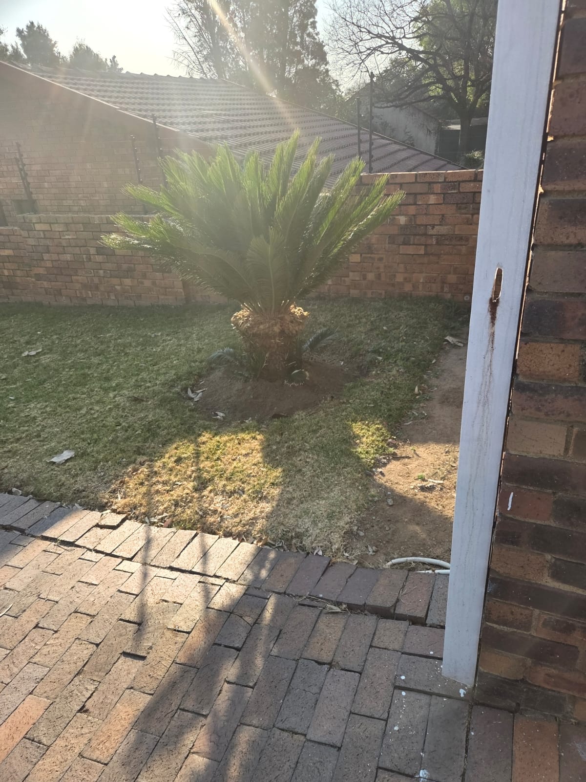JSM Garden Services Work