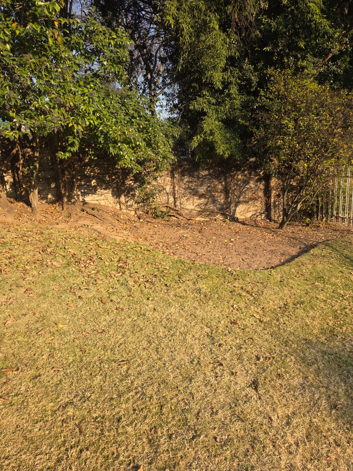 JSM Garden Services Work
