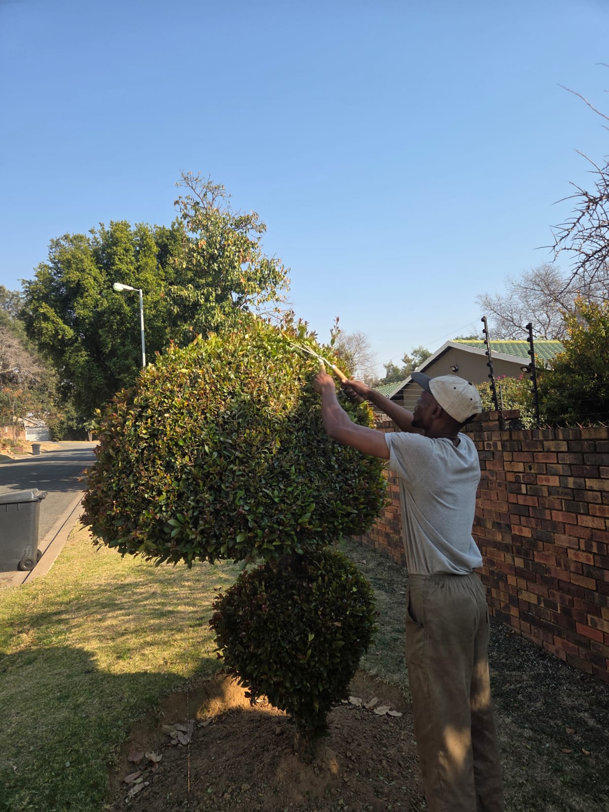 JSM Garden Services Work
