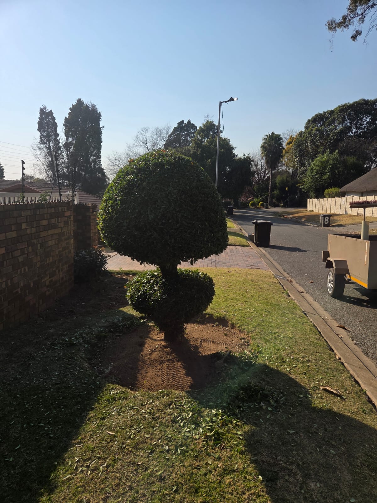 JSM Garden Services Work