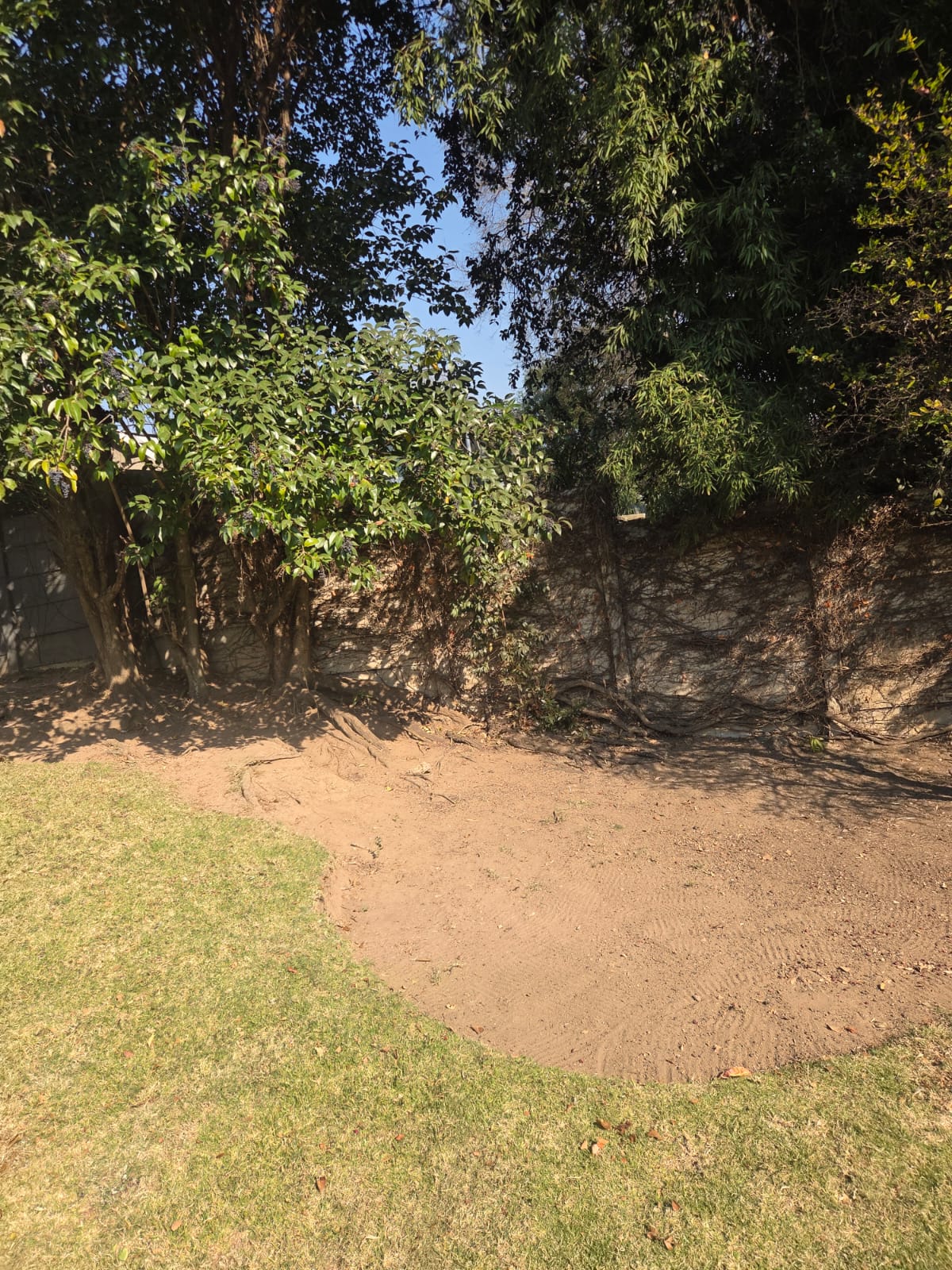 JSM Garden Services Work
