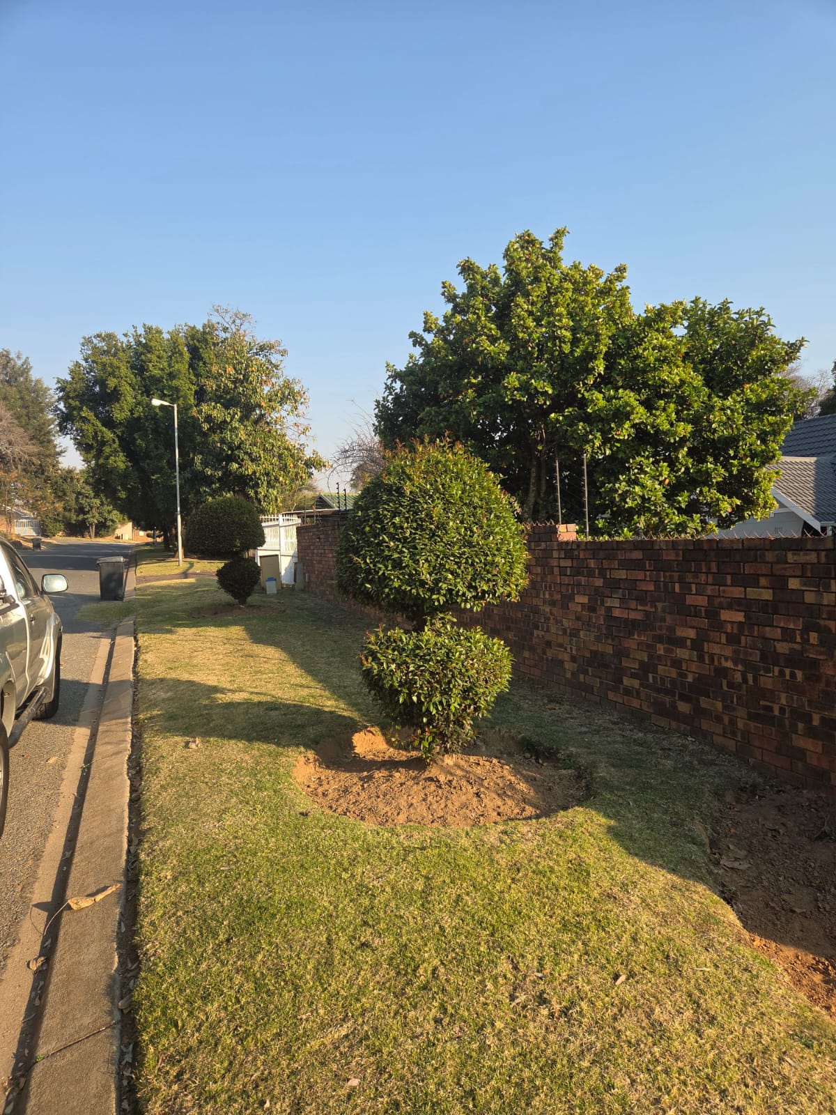 JSM Garden Services Work